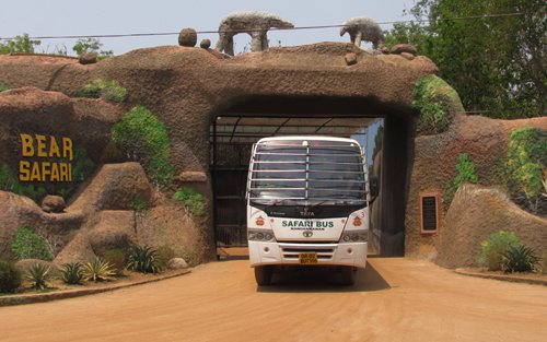 Explore Nandankanan Zoo: Famous Places, Safari Experiences & Ideal Time to Go